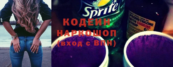 крисы Богородицк