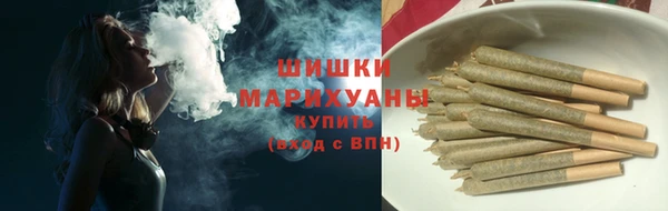 крисы Богородицк