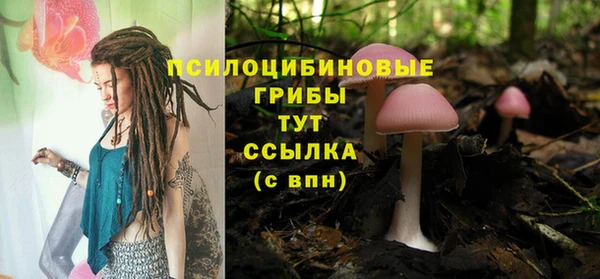 мескалин Богданович